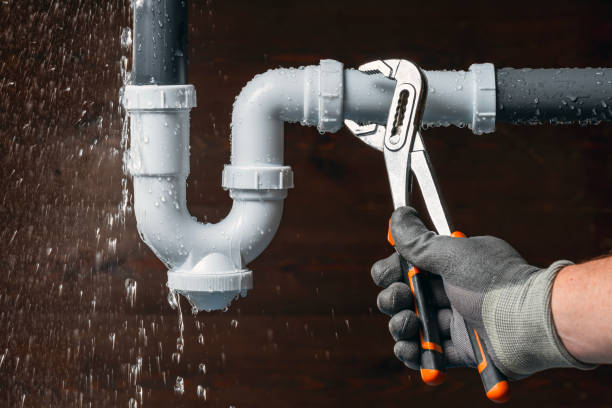 Professional Plumbing technician working in Red Bud, IL